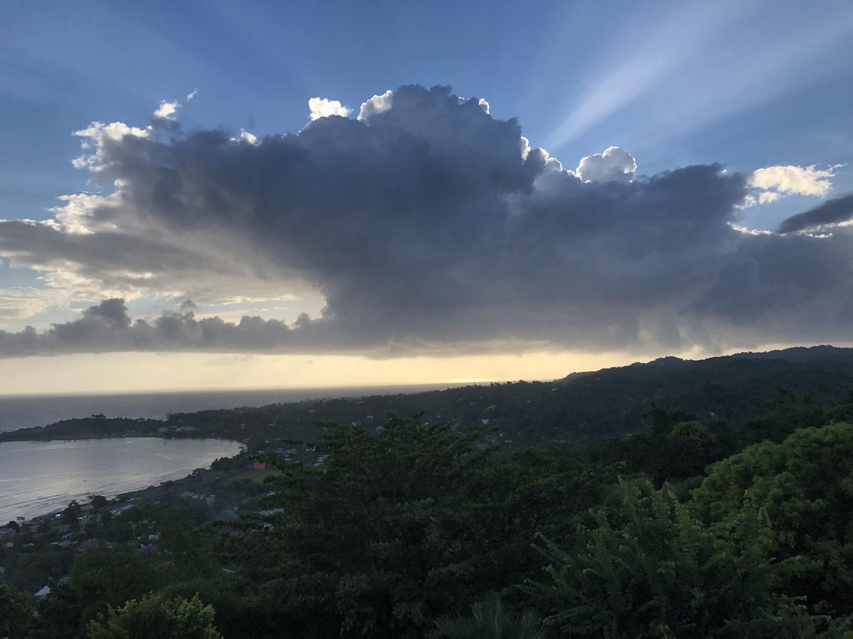 Treetops Villa Port Antonio Exterior foto