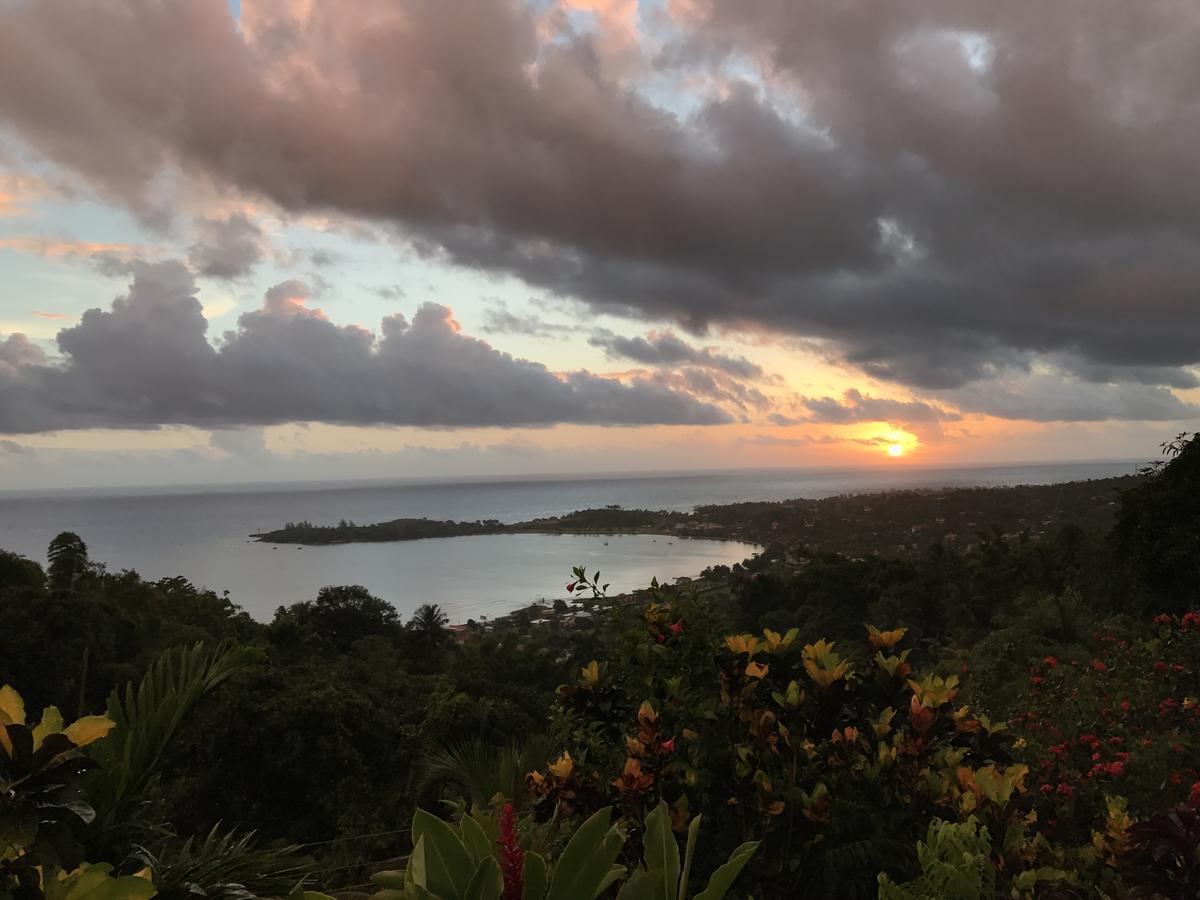 Treetops Villa Port Antonio Exterior foto
